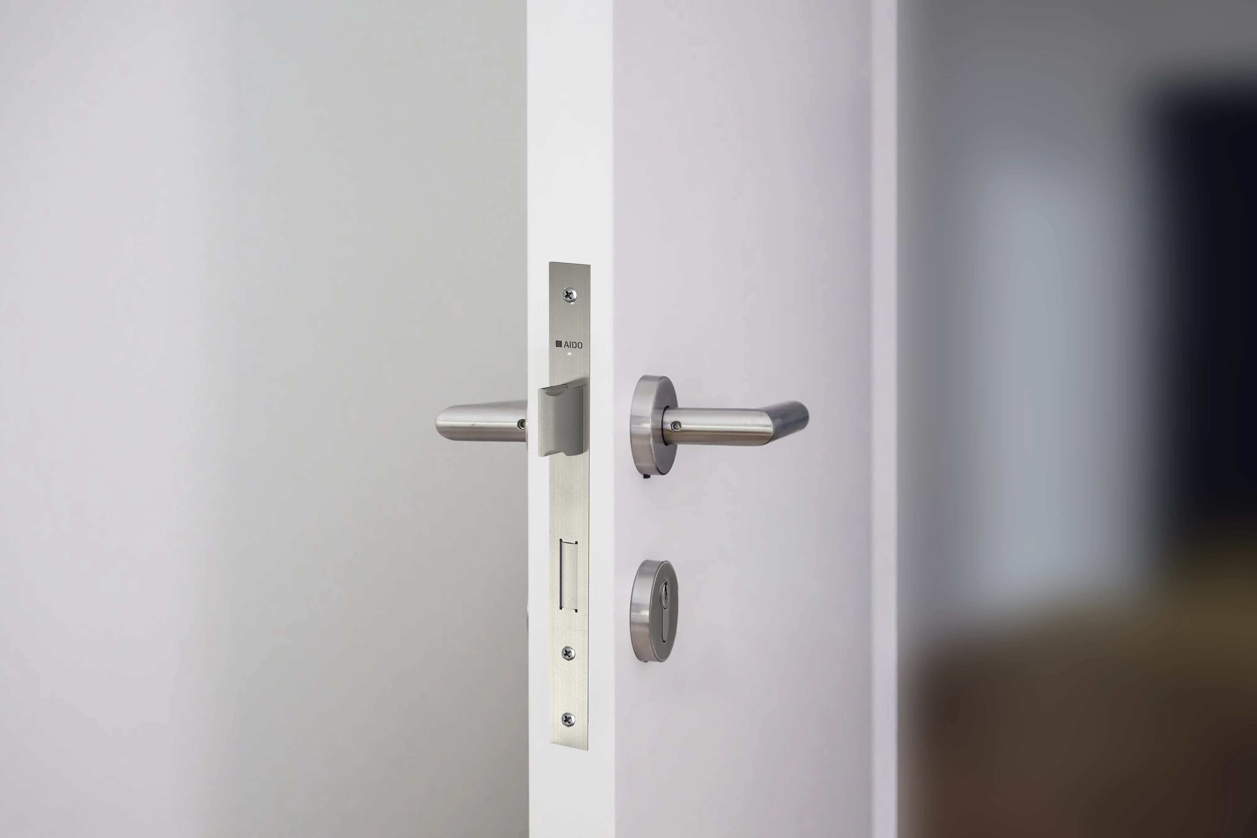 Lever handle and mortise lock on a white door